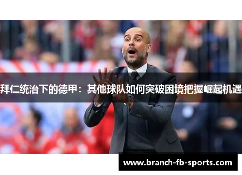 拜仁统治下的德甲：其他球队如何突破困境把握崛起机遇