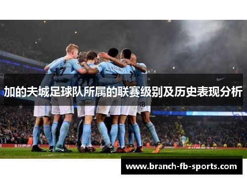 加的夫城足球队所属的联赛级别及历史表现分析 加的夫城足球队所属的联赛级别及历史表现分析