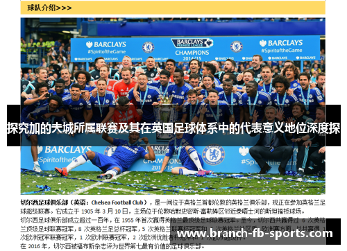探究加的夫城所属联赛及其在英国足球体系中的代表意义地位深度探 探究加的夫城所属联赛及其在英国足球体系中的代表意义地位深度探
