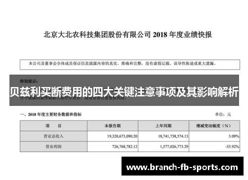 贝兹利买断费用的四大关键注意事项及其影响解析