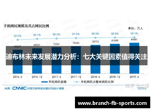 迪布林未来发展潜力分析：七大关键因素值得关注