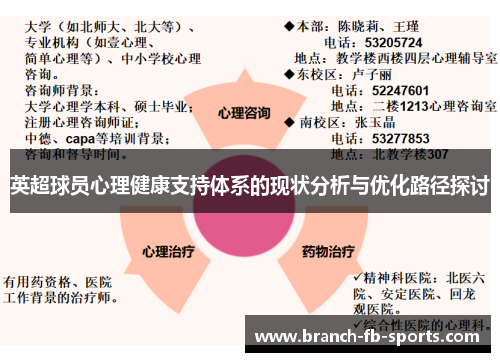 英超球员心理健康支持体系的现状分析与优化路径探讨 英超球员心理健康支持体系的现状分析与优化路径探讨