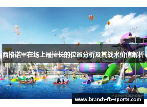 西格诺里在场上最擅长的位置分析及其战术价值解析