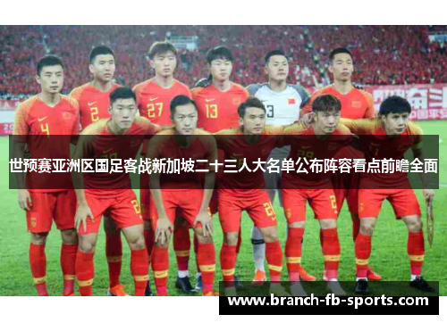 世预赛亚洲区国足客战新加坡二十三人大名单公布阵容看点前瞻全面 世预赛亚洲区国足客战新加坡二十三人大名单公布阵容看点前瞻全面