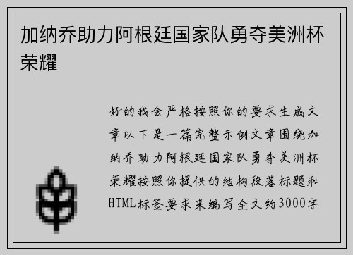 加纳乔助力阿根廷国家队勇夺美洲杯荣耀