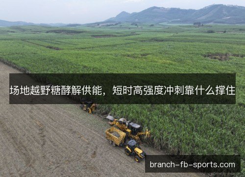 场地越野糖酵解供能，短时高强度冲刺靠什么撑住